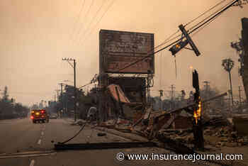 LA Wildfire Smoke Exposed 7 Million to Dangerous Toxic Metals