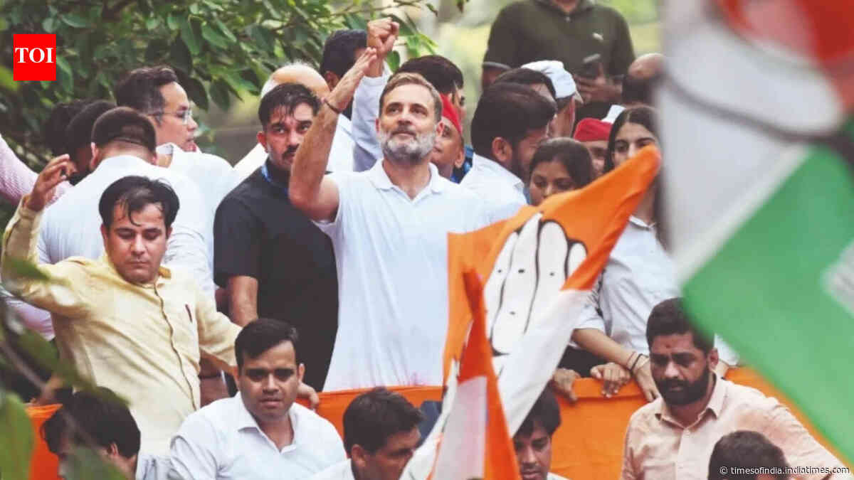 'Don't worry about lathis': Rahul calls on people to join INDIA bloc's 'Delhi chalo' march