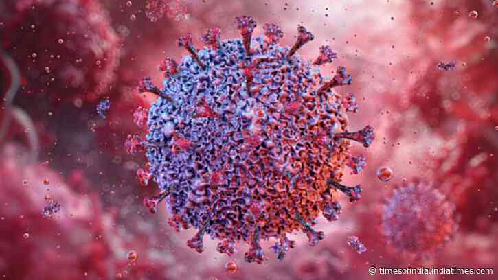 An animal-borne virus called Shamonda, which normally circulates in livestock, has infected and killed a human for the first time