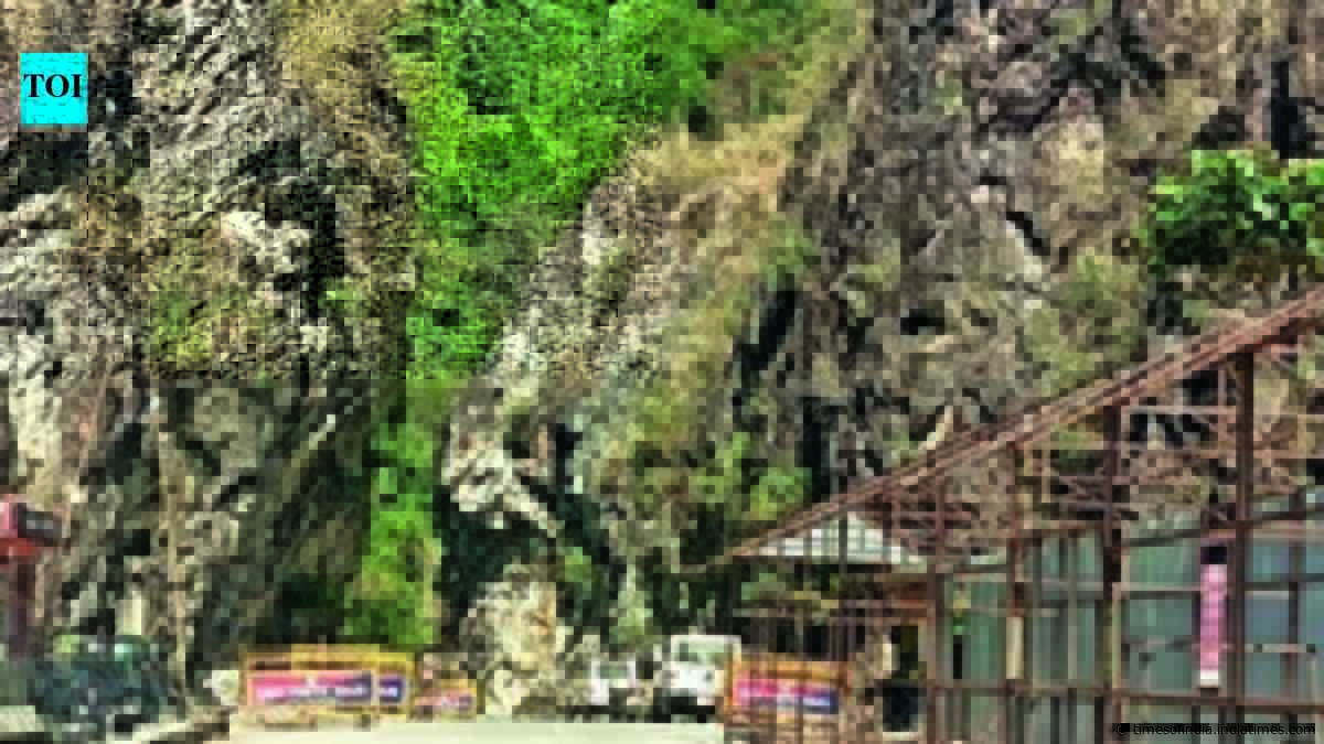 Forces fortify key Arunachal bridge to fight dam objectors
