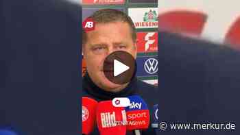 „Schönste Nachricht des ganzen Tages“