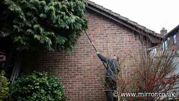 Police settle debate on what to do when neighbour's tree overhangs garden