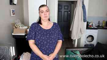Dingle apartment block 'overrun with mice and rats'