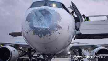 Yemenia Airways jet left with massive dent and cracked windscreen after hailstorm