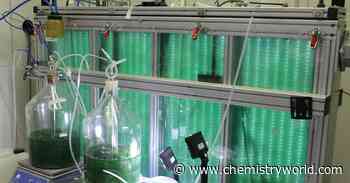 Greener dyes of every colour for fabric and food