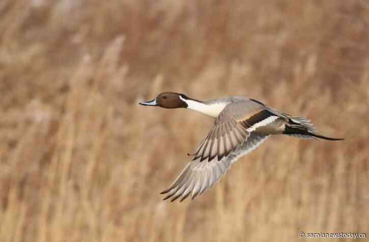 Grab your camera: Bluewater Trails photo contest enters final fall season