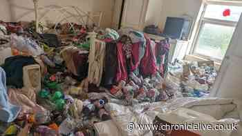 Video shows the horrifying conditions of former North East GP's home where pets lived in squalor
