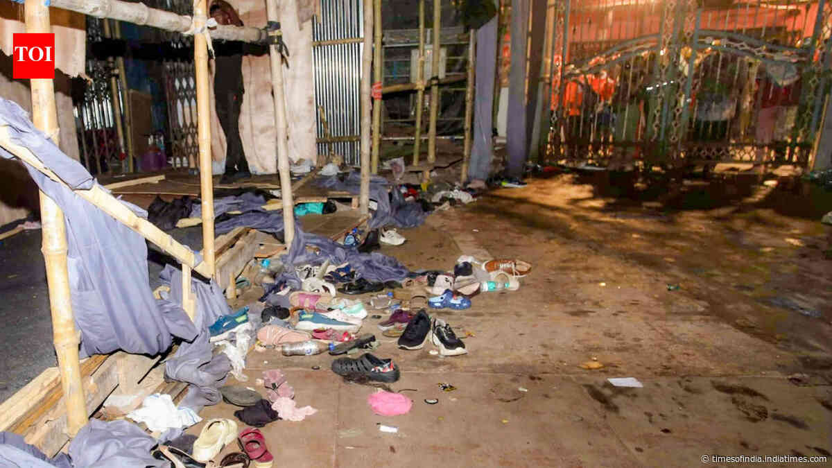 It only takes one rumour: How a small trigger can lead to a deadly stampede