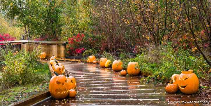 Rain and storms to haunt Halloween trick-or-treaters across more than 20 states