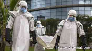 Ebola could soon 'spread globally' health chiefs warn as cases top 10,000 - experts reveal how soon killer virus could reach the UK