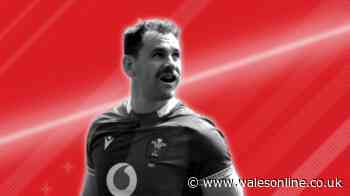 Steve Tandy is trying to bridge one of Wales' biggest gaps as next month critical