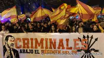 Über 1.000 Demonstranten vor Ministerium in Madrid: Polizei löst Proteste nach Zug-Tragödie auf