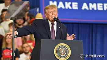 Trump: Judge would be held 'fully responsible' for anyone hurt on 'absolutely disgusting' East Potomac golf course