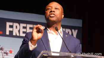 Tim Scott calls for DOJ investigation of Peltola campaign