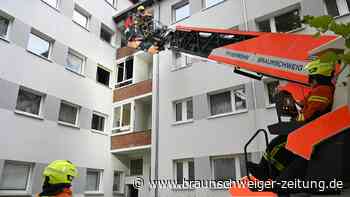 Fünf Katzen sterben bei Wohnungsbrand in Braunschweig – war es Brandstiftung?