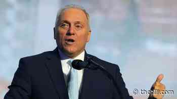 Scalise stresses voter turnout: 'We can hold the House'