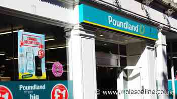 Poundland on the brink of collapse with 28 Welsh stores under threat - full list