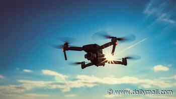 Concerns for EU leaders' security and potential 'drone incursions' when they gather in Dublin as cops consider industrial action