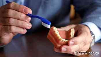 Canada Dental Care Plan working but costing more than expected: auditor general