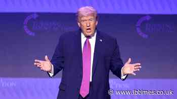 Donald Trump Hit With 25th Amendment Calls After Claiming Solar Panels Are 'Hotter Than Your Stove'