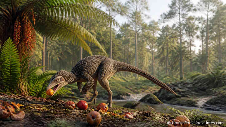Newly identified bird like dinosaur from Cretaceous period may be first dinosaur eating fruit