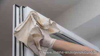 Fenster putzen: Dieses Hilfsmittel reinigt Stellen, die Finger nicht schaffen