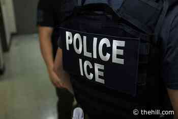 FBI, ICE won't contribute to poll monitoring: Justice Department