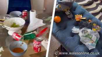 Disgusting state of Mumbles AirBnB after guests leave carpets covered in broken glass and rotting food