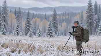 Making Intimate Landscapes Around Clear-Cuts and Power Lines