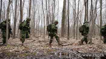 Canada's new national security strategy will shield economy, modernize military