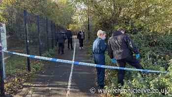 Wallsend attempted rape RECAP: Man arrested after woman in 30s attacked near school