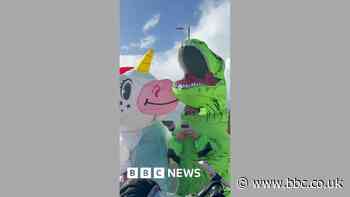 Why woman is walking every day in inflatable dinosaur outfit