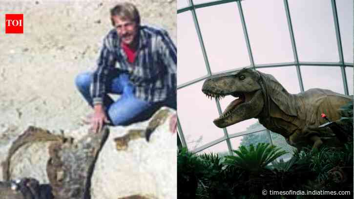 In 1987, an amateur fossil hunter found a T. rex in South Dakota; the $31.8 million skeleton now stands in Abu Dhabi