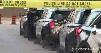 Four family members hurt in Bridle Path home invasion: Toronto police