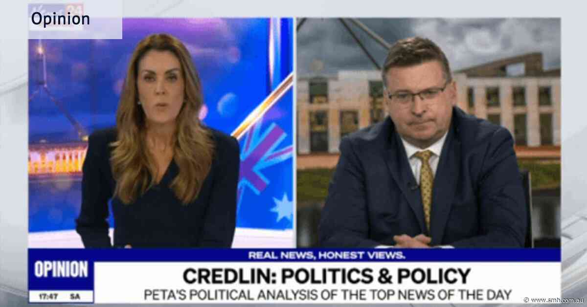 ‘Just try me’: The text messages that sparked News24’s on-air clash