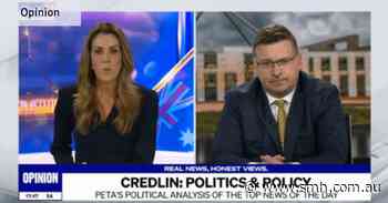 ‘Just try me’: The text messages that sparked News24’s on-air clash