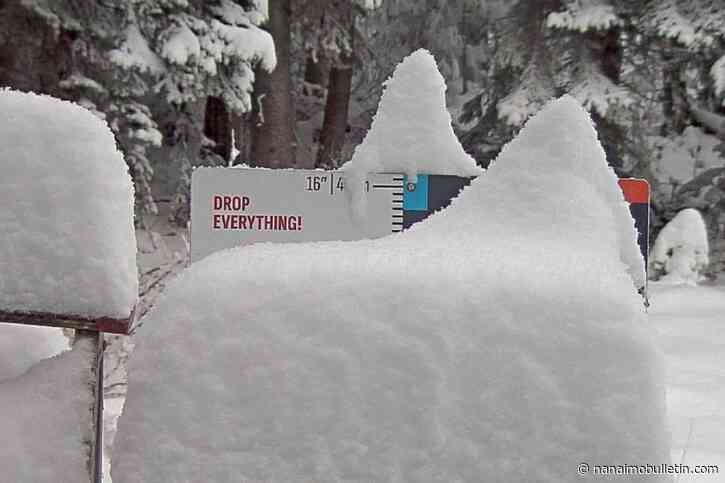 20 cms of snow falls on Vernon’s SilverStar Mountain