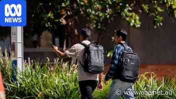 Labor's student visa crackdown has created a problem it didn't intend
