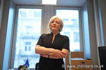 Lib Dem Caroline Voaden says Nigel Farage ‘shoved me’ at Parliament