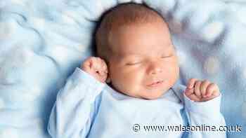 Parents issued urgent message over travel products for babies that 'increase risk of SIDS'