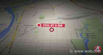 Niagara Falls man admits to fatal e-bike hit-and-run