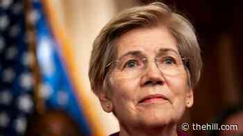 Warren asks DOJ to investigate Bank of America over money laundering violations