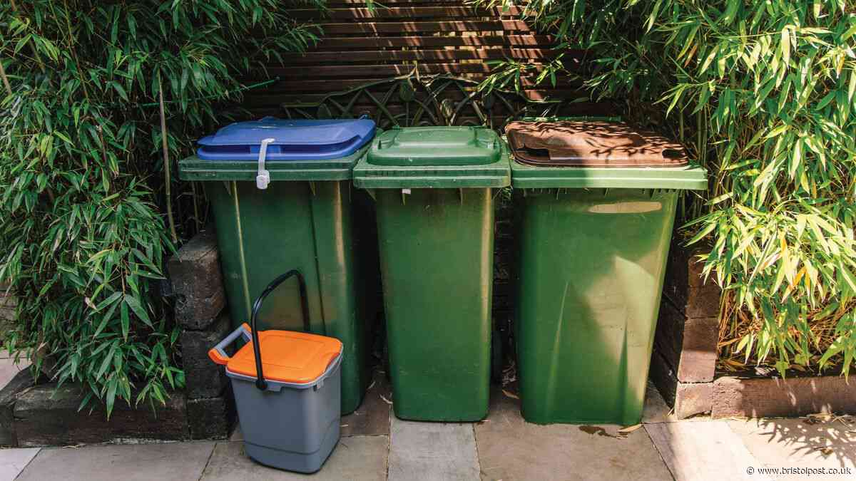 Binman says 1 'frustrating' mistake could cause recycling to be rejected this week
