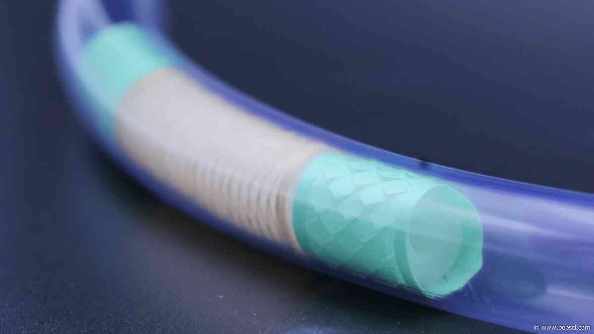 MIT develops robot that slithers through intestines like a snake