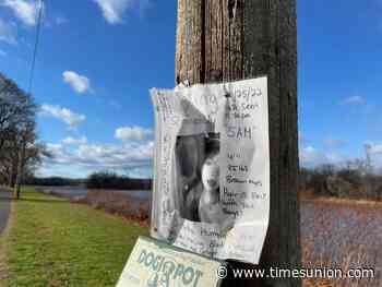 'She’s starstruck': Teen denies killing Samantha Humphrey but admits punching her