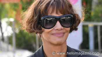 Halle Berry and Olivier Martinez's explosive custody battle over teen son reaches tense conclusion — details