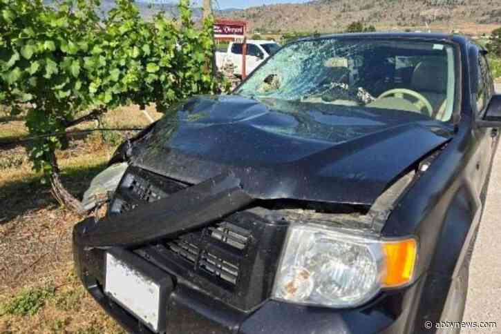 Man arrested in Quebec after fatal hit-and-run in the South Okanagan