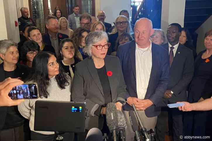 New Westminster-Coquitlam MLA named interim leader of B.C. NDP