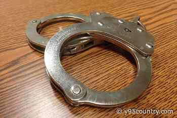 Laramie County Sheriff’s Office Reports 538 Immigration Arrests Over Past Year