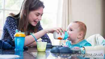 Police give answer in debate over legal age required to be a babysitter in the UK